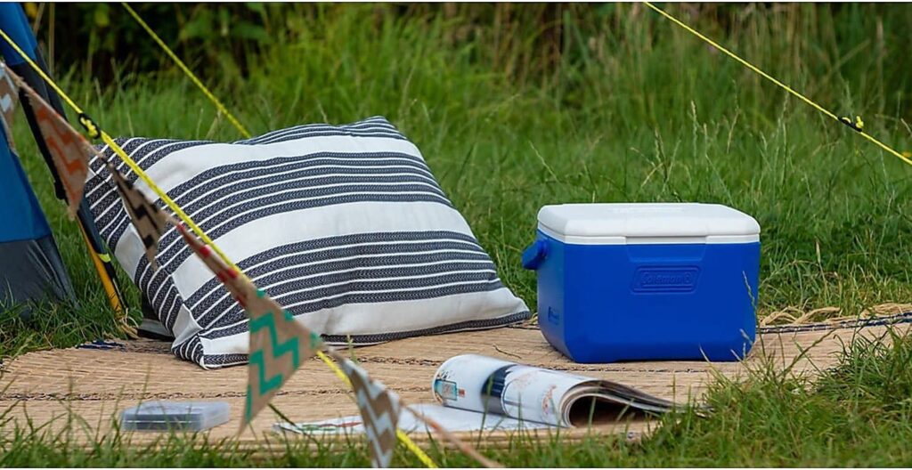 Tradineur - Nevera portátil rígida con asa, polipropileno, porta alimentos  y bebidas para playa, acampada (Azul y blanco, 24 lit
